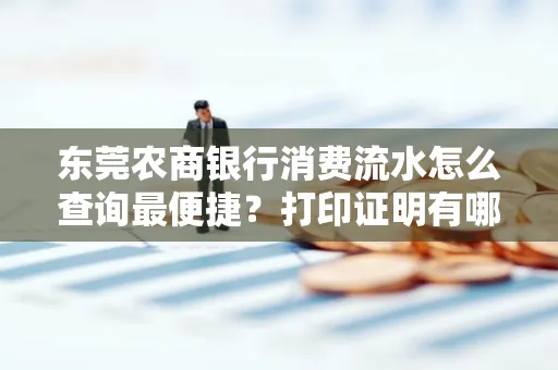 东莞农商银行消费流水怎么查询最便捷?打印证明有哪些风险需注意?