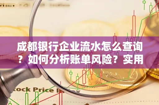 成都银行企业流水怎么查询?如何分析账单风险?实用指南