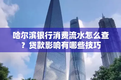 哈尔滨银行消费流水怎么查？贷款影响有哪些技巧